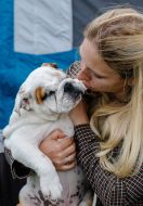 Дівчина тримає цуценя породи бульдог