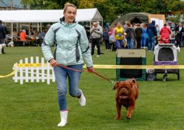 Виставка собак "Закарпаття-2021"