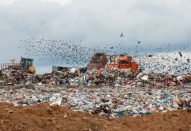 A new complex for waste processing at the landfill for household waste