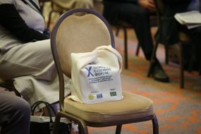 The tenth annual judicial forum