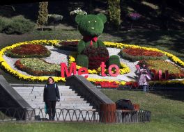 Выставка хризантем «История любви» на Певческом поле