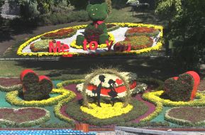 Exhibition of chrysanthemums "Love Story" at the Singing Field