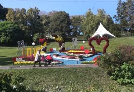 Exhibition of chrysanthemums "Love Story" at the Singing Field