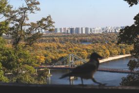 Crow and a view of the Dnieper