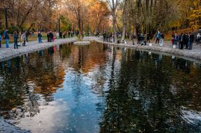 Pond in the park