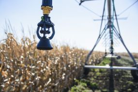 Irrigation system in the field in Odessa region