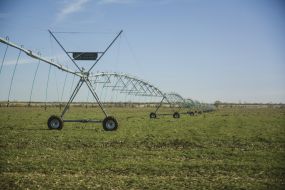 Irrigation system in the field in Odessa region