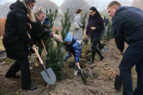 Люди сажают деревья