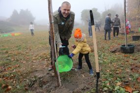 Мужчина с ребенком сажают деревья