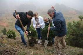 Юрий Витренко сажает дерево