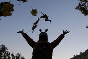 Halloween celebration