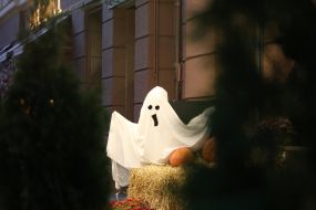 Halloween celebration