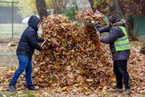 Дворники убирают опавшие листья