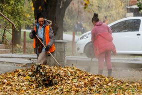 Дворники убирают опавшие листья