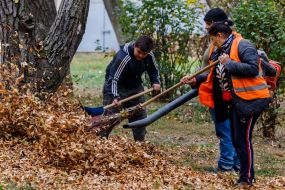 Дворники убирают опавшие листья