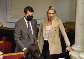 Dmytro Razumkov, Olha Saladukha