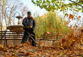 Autumn in Kiev
