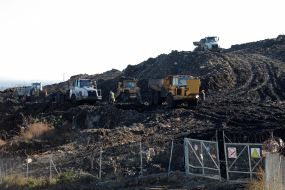 Gribivichi dump