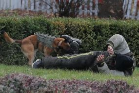 Interdepartmental tactical and special training