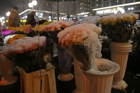 The first snow in Kiev