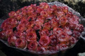 The first snow in Kiev