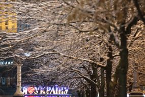 Snow-covered trees during the first snow in Kiev