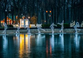 New year illumination