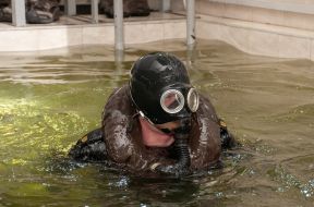 Легководолазна підготовка курсантів