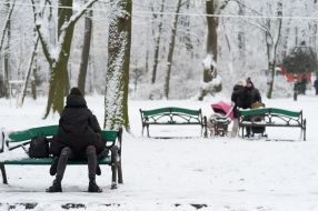 Snowy park in Lviv
