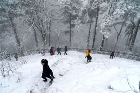 Snowy park in Lviv