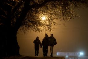 Passers-by near a tree with icy branches