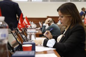 Олена Овраменко