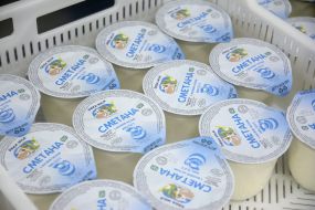 Cups with sour cream in a box