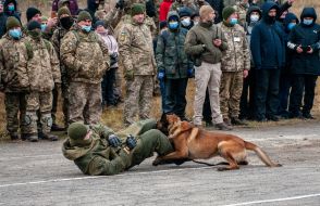 Soldiers of the National Guard demonstrate work at the checkpoint