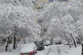 Snowfall in Lviv