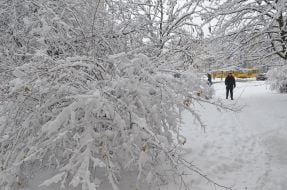 Snowfall in Lviv