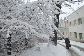 Snowfall in Lviv