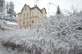 Snowfall in Lviv