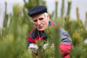 Christmas market in Kiev