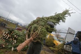 Christmas market in Kiev
