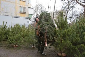 Christmas market in Kiev