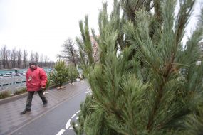 Christmas market in Kiev
