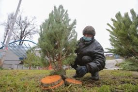 Christmas market in Kiev