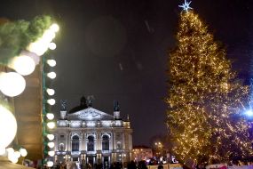Grand opening of the main Christmas tree in Lviv