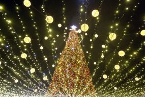 The main Christmas tree on Sophia Square in Kiev