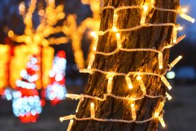 New Year's illumination