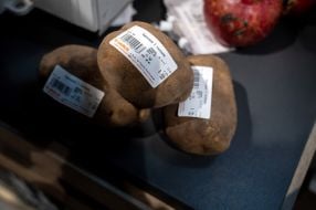 Price tag on kiwi