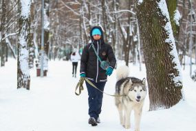 Woman walking a dog in a snowy park