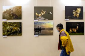 Opening of the photo exhibition "Treasures of Nature of the Visegrad Group"