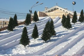 Alpine slides on Kontraktova Square
